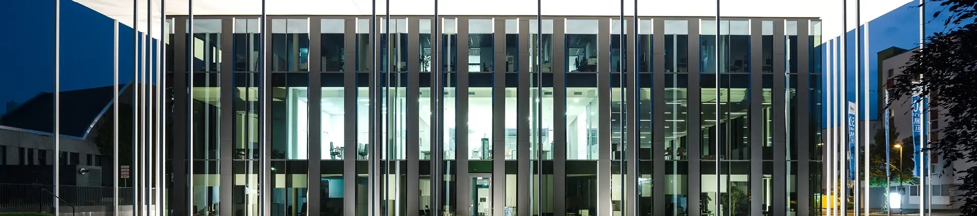 Transcultural Humanities: Media, Texts, Languages in a Globalized World